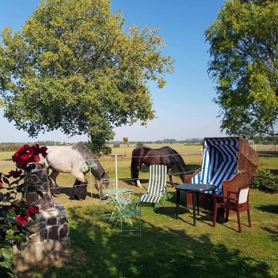Wolkenlos Wyspa Poel Zewnętrze zdjęcie