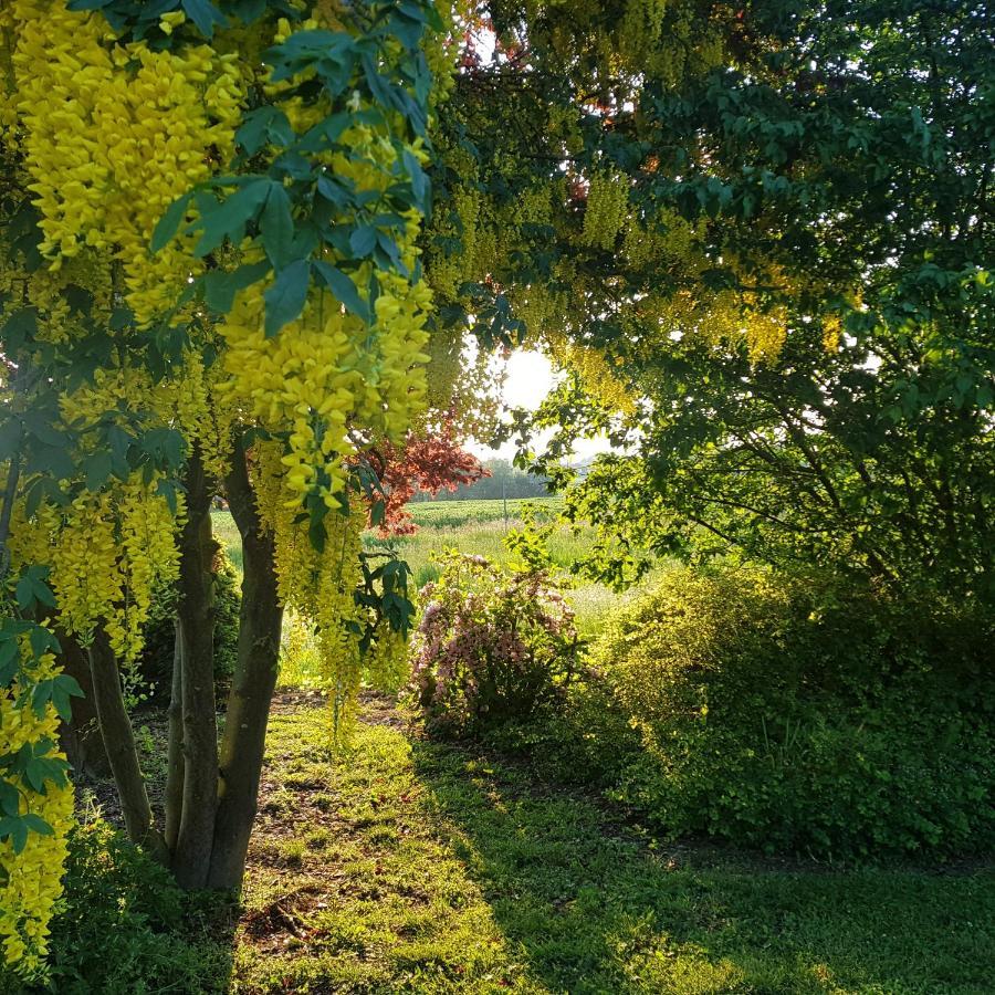 Wolkenlos Wyspa Poel Zewnętrze zdjęcie
